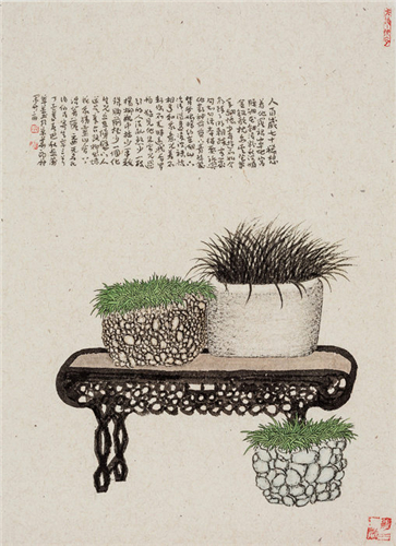 《菖蒲系列》