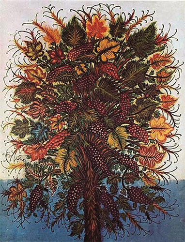 塞拉菲娜·路易斯 花卉系列