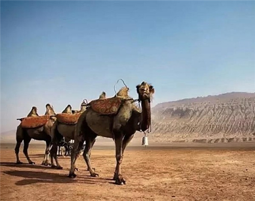 〔图一〕 丝绸之路骆驼风景 (汉代符号)