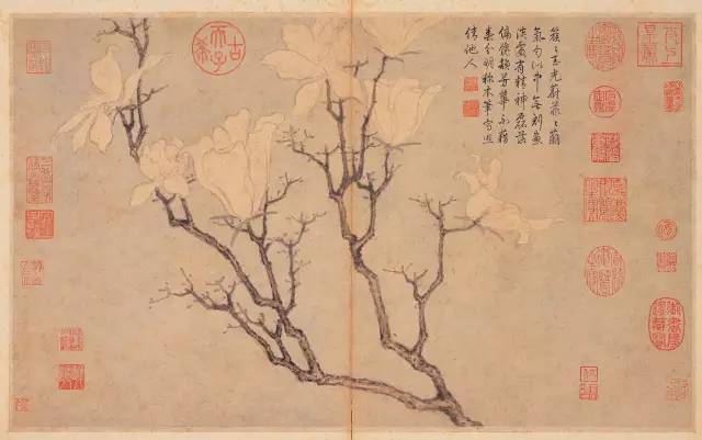 沈周《玉兰图》是否是意蕴绵长的慈母颂？