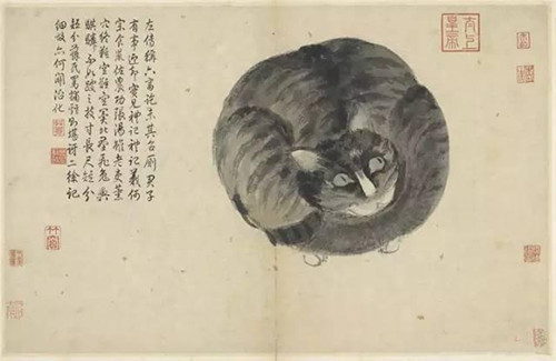 明 沈周 写生册 纸本设色