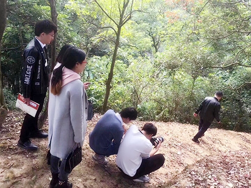 “艺”路上，有一种坚持叫张雄艺术网
