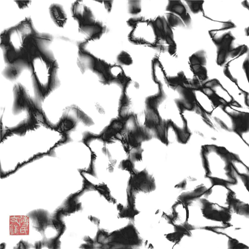傅文俊数绘摄影作品《变异的细胞》