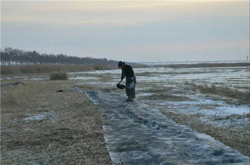 以有形而述无形 一个与灵魂对话的艺术家王华明