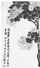   陈半丁《绣球花》