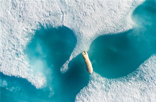 《冰上魅影》  摄影师：Florian Ledoux（法国）