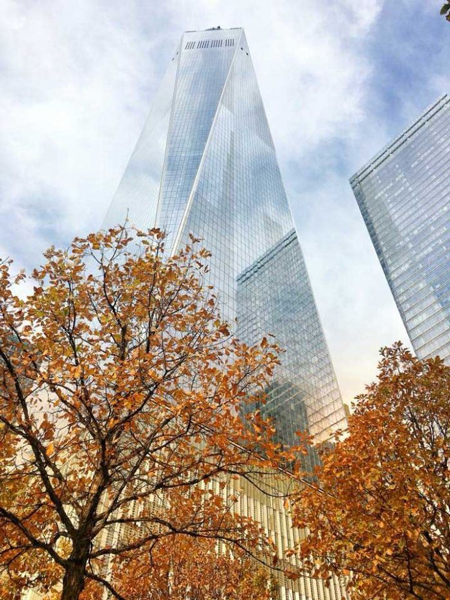 《纽约世界贸易中心》  摄影师：Yonca Ables（美国）