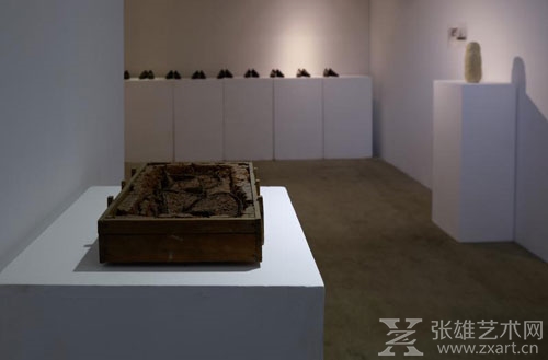 “37度”张克端个展