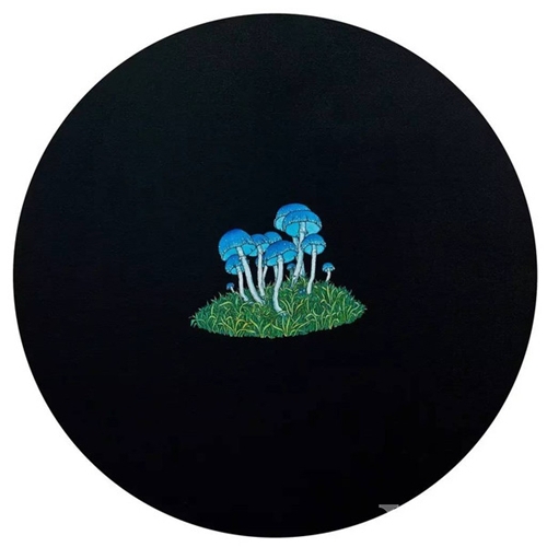 《陪你做只菇》，60x60cm，2014年，布面丙烯 邓瑜