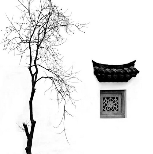 吴璜——西溪湿地一隅