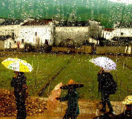 谢伟洪——烟雨江南
