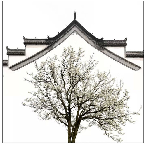 蔡龙——徽居