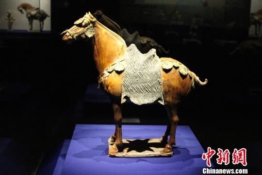 唐两京三彩精华展开幕国宝级文物载乐骆驼俑亮相