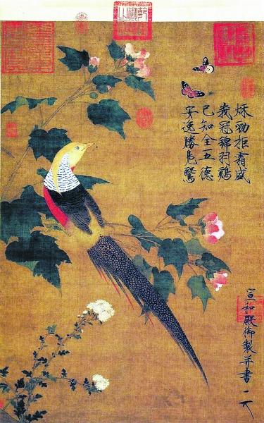 宋徽宗名画《芙蓉锦鸡图》记录鸟类杂交