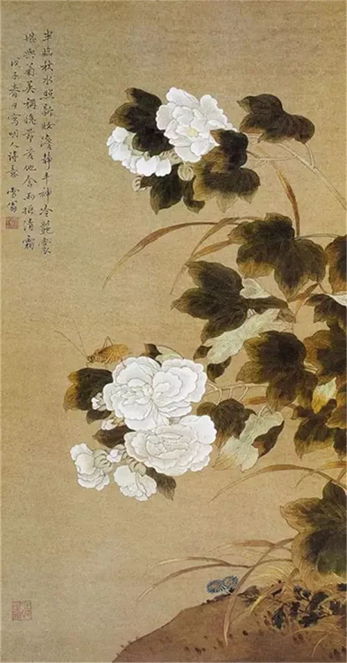 陈之佛《白芙蓉》